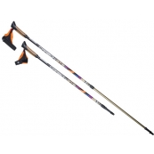 Скандинавская ходьба Скандинавская ходьба